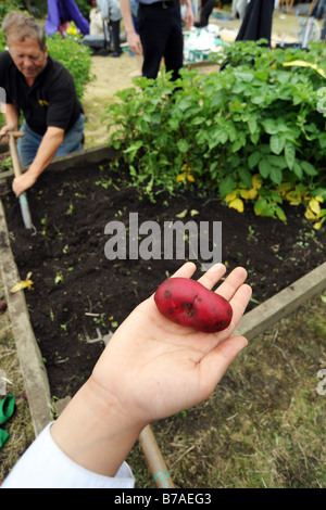 Les enfants visiter un projet d'attribution d'en apprendre davantage sur le jardinage et l'environnement Banque D'Images