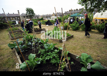 Site d'attribution avec des légumes à l'été, Bradford Banque D'Images