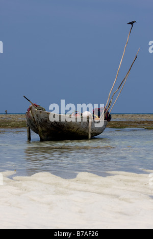 Un bateau gardé par un corbeau noir se trouve sur la plage de sable à marée basse à Zanzibar Tanzanie Banque D'Images