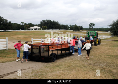 Les touristes d'embarquer dans un camion-remorque ride farm tour autour de la Nouvelle Angleterre Shire Horse Center à Ocala en Floride USA Banque D'Images