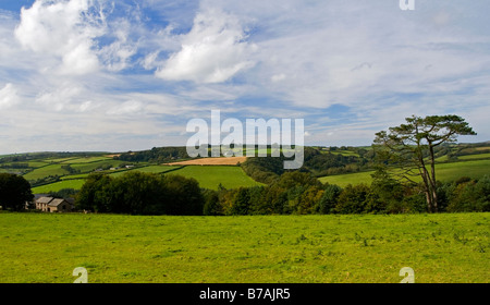 Voir des terres agricoles et la campagne à Arlington près de Barnstaple dans le Nord du Devon England UK Banque D'Images