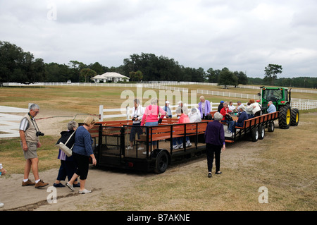 Les touristes d'embarquer dans un camion-remorque ride farm tour autour de la Nouvelle Angleterre Shire Horse Center à Ocala en Floride USA Banque D'Images
