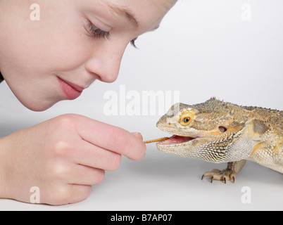 Close-up of little boy l'alimentation d'un animal à des vers de lizard Banque D'Images