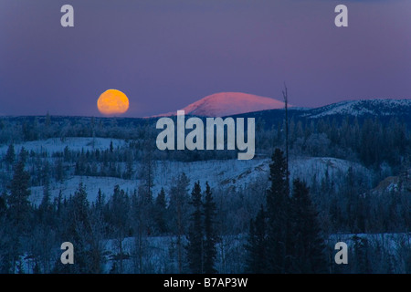 Lune croissante au sujet de la vallée de la rivière Takhini, bouquetins montagnes derrière, Territoire du Yukon, Canada, Amérique du Nord Banque D'Images