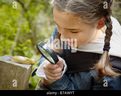 L'examen d'une fille Banana Slug à travers une loupe Banque D'Images