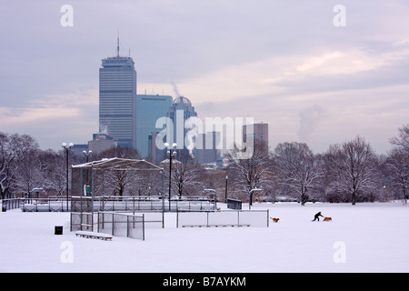 Personne qui joue avec deux chiens dans la neige à Roberto Clemente champ avec le Boston, Massachusetts skyline en arrière-plan. Banque D'Images