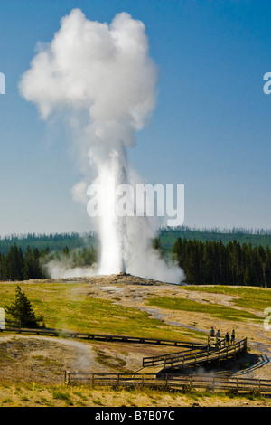 Geyser, le Parc National de Yellowstone, Wyoming, USA Banque D'Images