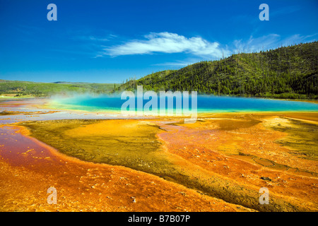 Grand bain du printemps, le Parc National de Yellowstone, Wyoming, USA Banque D'Images