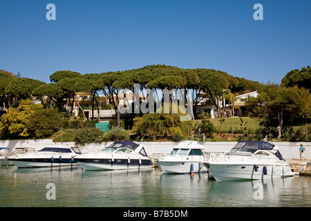 Bateaux dans la Marina de Cabopino Marbella Malaga Andalousie Espagne sun coast Banque D'Images