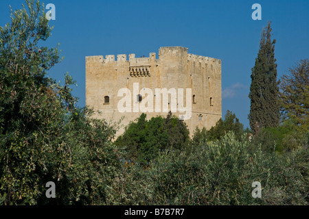 Château de colosse à Chypre Banque D'Images