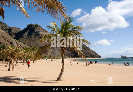 L'homme a fait de sable blanc de la plage Playa de Las Teresitas Teneriffe Tenerife Canaries Espagnol Island resort destination ho Banque D'Images