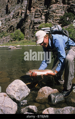 Un homme tient une grosse truite arc-en-ciel lors de la pêche à la mouche à l'gunnison River dans le black canyon national park Banque D'Images