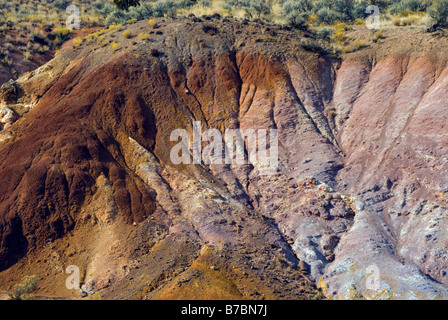 Vue collines peintes de sentier de l'anse peint à John Day Fossil jumeaux National Monument peint Hills Unit Oregon USA Banque D'Images