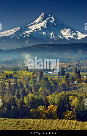 Volcan de Mount Hood Point Panorama Parc du comté de Hood River Oregon USA Banque D'Images