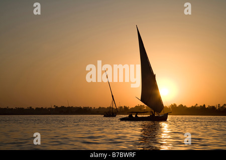 Egypte, Voyage, le Nil, voile du Nil, bateau à voile, Felucca, voyager en Egypte, bateau à voile, bateau d'Afrique, voile africain, Vue sur le coucher du soleil, coucher du soleil sur le Nil Banque D'Images