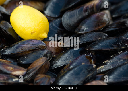 Les moules fraîches vendues dans la rue à Istanbul Turquie Banque D'Images