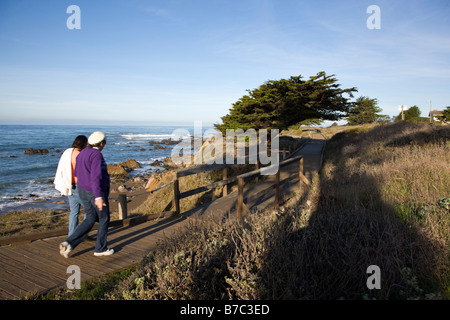 Les visiteurs de marcher sur le trottoir de bois passé un arbre relatif, San Simeon State Park, San Simeon, California, USA Banque D'Images