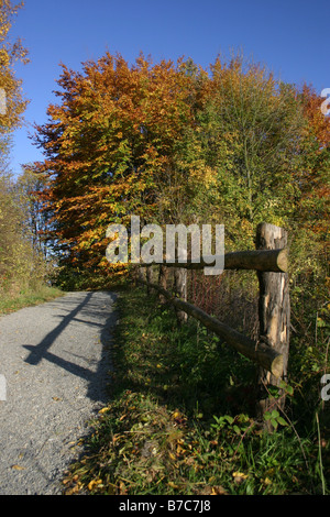 Paysage d'automne en Hikingpath Banque D'Images
