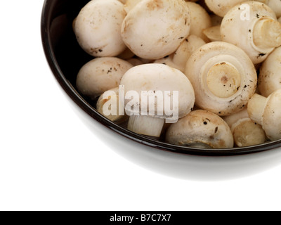 Matières premières fraîches coupe fermée sains champignons isolés contre un fond blanc avec aucun peuple et un chemin de détourage Banque D'Images