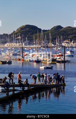 Les personnes pêchant à marée basse à partir de la fin de la Jetée sur la rivière Conwy à Conwy Banque D'Images