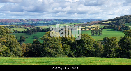 Les collines de Quantock vues depuis les collines de Brendon à Chidgley, en bordure du parc national d'Exmoor près de Williton, Somerset, Angleterre. Banque D'Images