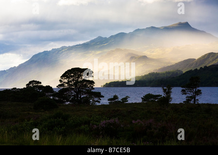 La lumière du soleil du soir sur le Loch Maree, Wester Ross, Highland, Scotland Banque D'Images