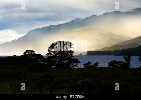 La lumière du soleil du soir sur le Loch Maree, Wester Ross, Highland, Scotland Banque D'Images