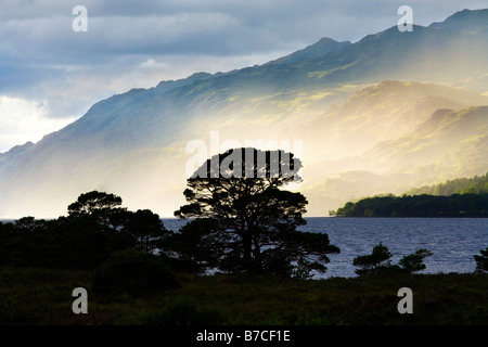 La lumière du soleil du soir sur le Loch Maree, Wester Ross, Highland, Scotland Banque D'Images