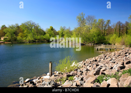 La ville de Daventry Country Park comté du Northamptonshire Angleterre Grande-bretagne UK Banque D'Images