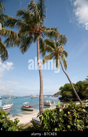 Les bateaux sont amarrés sur la plage de la petite ville insulaire de Cruz Bay sur l'île de St John dans les îles Vierges américaines Banque D'Images