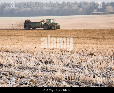 Un tracteur épandage de fumier dans un champ couvert de givre Banque D'Images