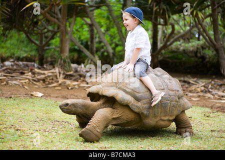 Des activités amusantes à l'Ile Maurice. 4 ans boy riding tortue géante. Banque D'Images