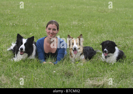 Border Collie (Canis lupus f. familiaris), jeune femme couchée sur une prairie avec deux adultes et un roquet dos Banque D'Images