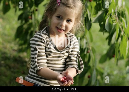 Petite blonde girl picking cherries, Allemagne Banque D'Images