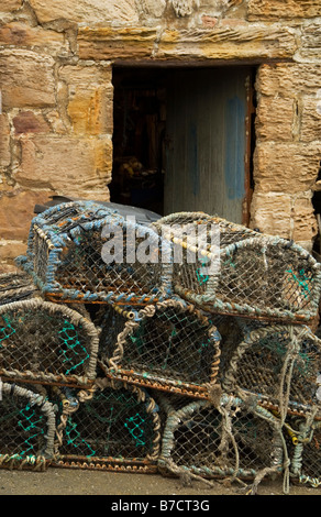 Des casiers à homard , Pittenweem , East Neuk , Fife , Écosse Banque D'Images