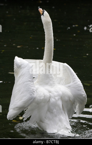 Avoir un bout droit Banque D'Images
