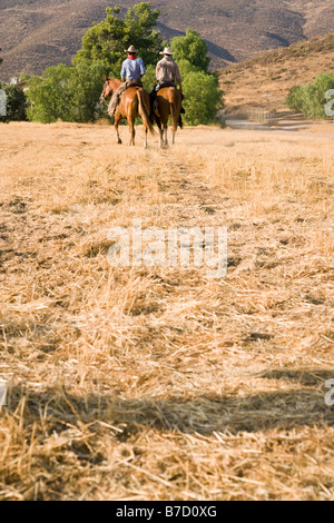 Deux cowboys de l'équitation dans un champ Banque D'Images