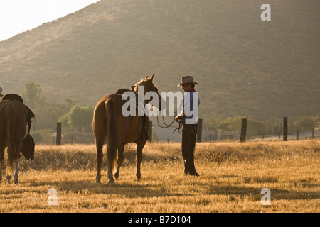 Un cowboy debout dans un champ avec des chevaux Banque D'Images