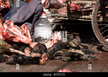 Intestinals portant sur le terrain. Meatmarket au Tibet. Banque D'Images