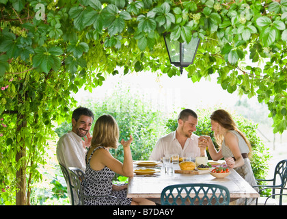 Group enjoying meal in garden Banque D'Images