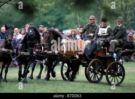 Le prince Philip, duc d'Édimbourg à la compétition équestre du chariot. Windsor Horse Show. Circa 1980 Banque D'Images