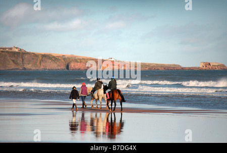 L'équitation à Lunan Bay, Angus, Scotland. Banque D'Images