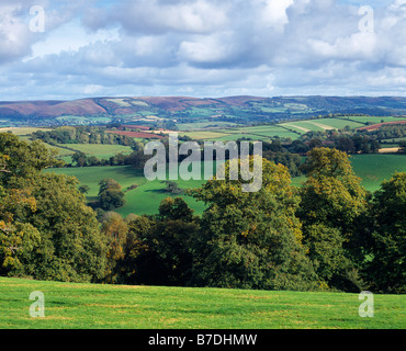 Les collines de Quantock vues depuis les collines de Brendon à Chidgley, en bordure du parc national d'Exmoor près de Williton, Somerset, Angleterre. Banque D'Images