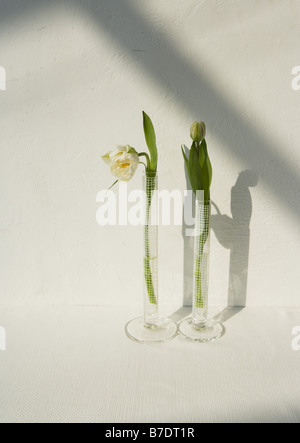 Des fleurs dans des vases en verre Banque D'Images