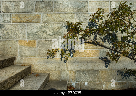 Au Bryn Athyn jardin Cathédrale, comté de Montgomery en Pennsylvanie Banque D'Images