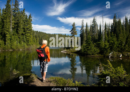 Colombie-britannique - Un goût à l'Arnica Lake dans le parc provincial Strathcona sur l'île de Vancouver. Banque D'Images