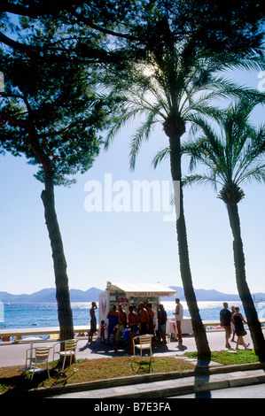 Palmier et magasin de crème glacée sur la Croisette à Cannes Banque D'Images