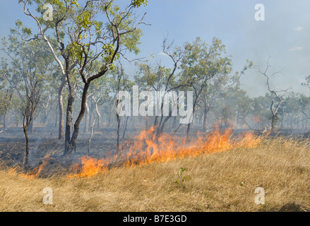 Feu de broussailles contrôlés dans le Kakadu National Park Banque D'Images