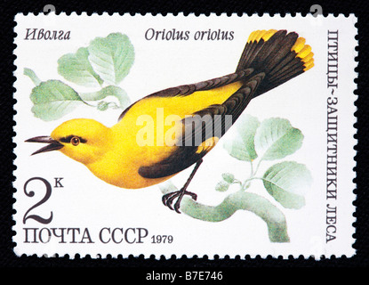 Golden (Oriolus oriolus), timbre-poste, URSS, 1979 Banque D'Images