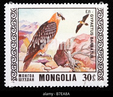 Gypaète Gypaète, lic), timbre-poste, Mongolie, 1976 Banque D'Images